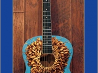 Zappa